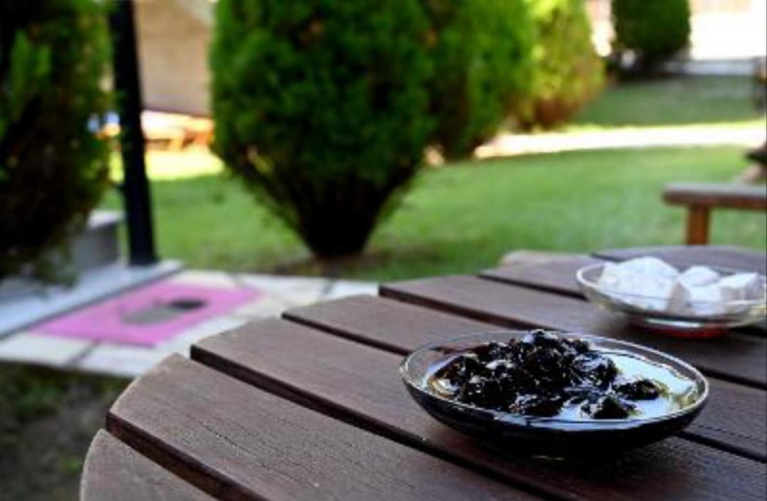 Santa Emelia Aparthotel Vasiliki  Bagian luar foto